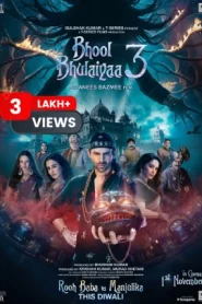 Bhool Bhulaiyaa 3 (2024) Hindi HD Netflix