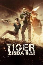 Tiger Zinda Hai (2017) Hindi HD