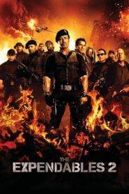 The Expendables 2 (2012) Hindi Dubbed