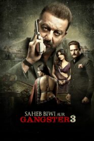 Saheb Biwi Aur Gangster 3 (2018) Hindi HD