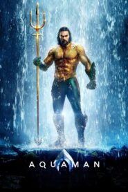 Aquaman (2018) Hindi Dubbed