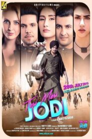 Teri Meri Jodi (2019) Punjabi